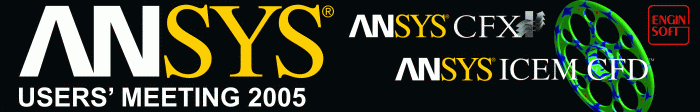 ansys users' meeting 2005